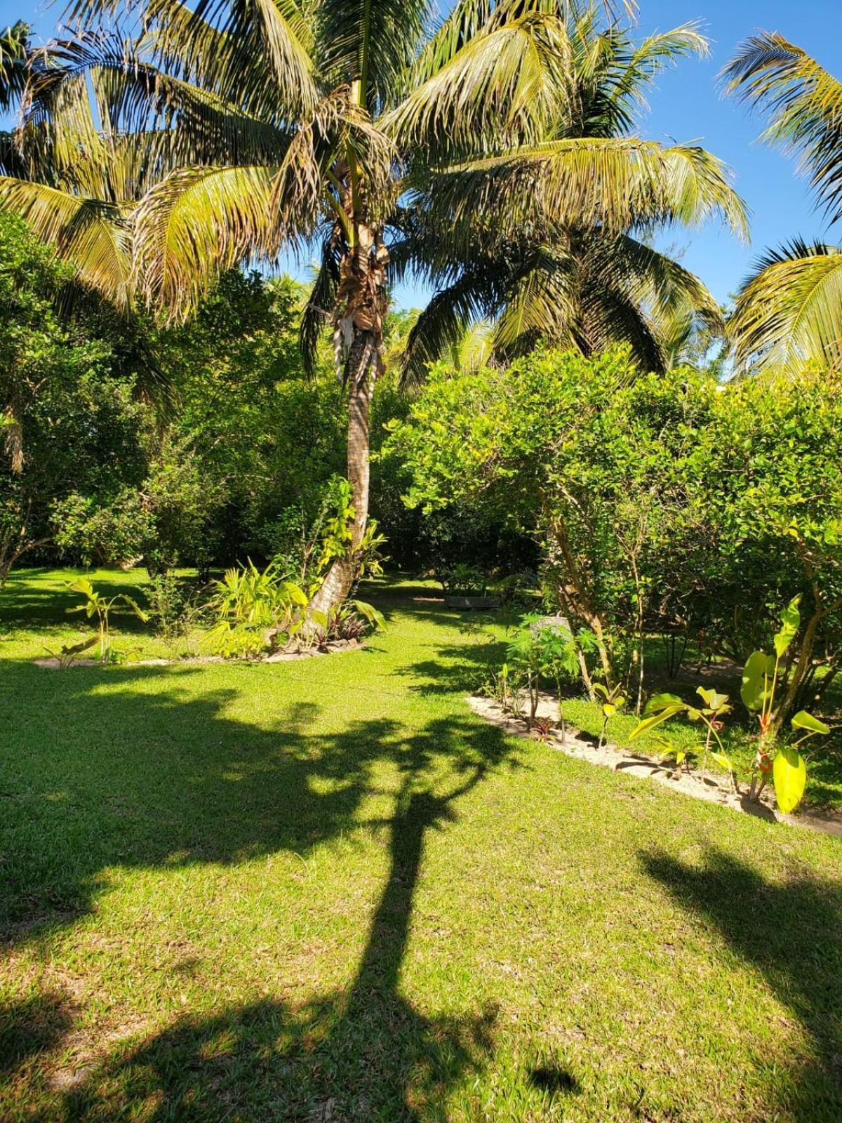 Les Citronniers Bed & Breakfast Ile Sainte-Marie Exterior foto